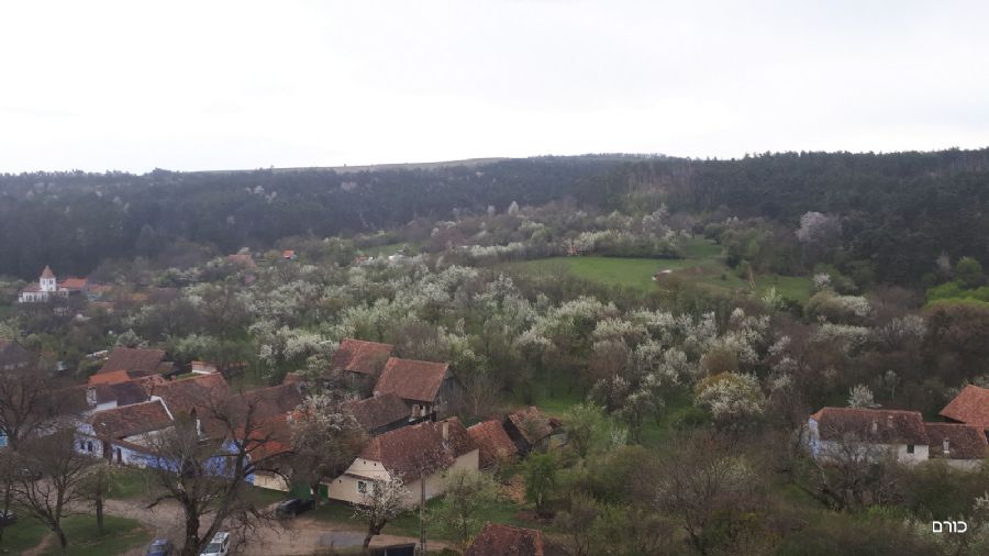 רומניה פסח 2019